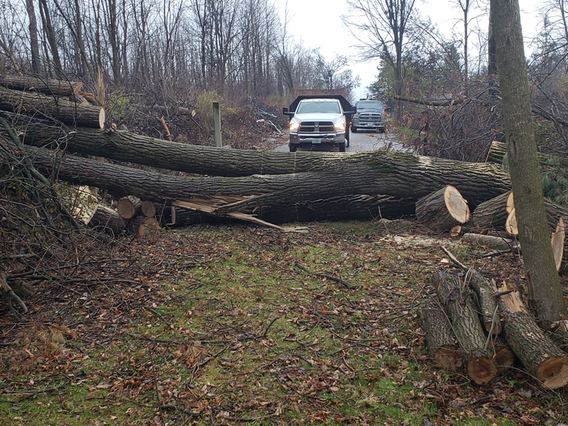 /pictures/Trail Clean Up 2018/20181104_075657.jpg